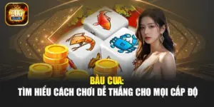 Bầu Cua: Tìm Hiểu Cách Chơi Dễ Thắng Cho Mọi Cấp Độ