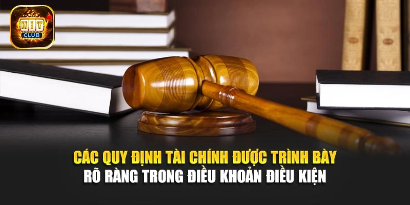 Các quy định tài chính được trình bày rõ ràng trong điều khoản điều kiện 